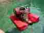 420 Gpm Fire Chief 420gpm Floating Pump