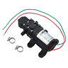 4350156586 Autoutlet Dc Fresh Water Pump With Hose Clamps 689720713898