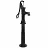 756265098916 Unbranded Garden Water Pump With Stand Cast Iron