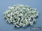 88400-prt Thread Oval Cover White 16 5 100 Head " Leviton Wallplate Screws 6-32