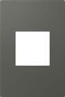 Awp1g2mo6 Wall Grey 1-gang Legrand Moss Adorne - Plate