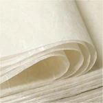 Creamy-white A4 Mulberry Paper Sheets Perfect For Gifting & Crafting. Fixed Price $27.98.