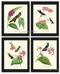 Vintage Hummingbird Prints Wall Art Set Of 4 Pink Tropical Flowers Unframed. Fixed Price $18.00.