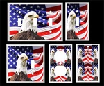 American Flag Bald Eagle Patriotic Light Switch Cover Plate. Fixed Price $7.49.