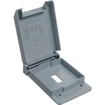 Carlon E98SSCN-CAR Device Cover, 4-53/64 In L, 3-11/16 W, Rectangular, 1-GANG. Fixed Price $21.36.