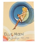 Desperate Enterprises Blue Moon Stockings Metal Sign 245. Fixed Price $29.99.
