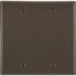 Leviton 80725 2-GANG Blank Wall Plate, Standard Size, Thermoplastic Nylon, Brown. Fixed Price $19.99.