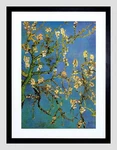 86802 Van Gogh Branches With Almond Blossom 1890 Decor Wall Print Poster. Fixed Price $28.95.