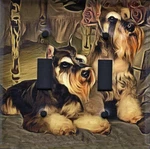 Schnauzer Double Toggle Light Switch Plate, Made In Usa. Fixed Price $14.95.