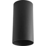 Progress Lighting 6-INCH Cylinder Led Outdoor Ceiling Light, 1-LIGHT Modern F.... Fixed Price $138.97.