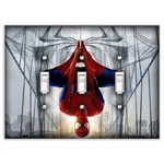 Spiderman Decorative Triple Toggle Light Switch Cover Wall Plate. Fixed Price $18.99.