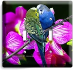 Love Birds Parrots Orchid Flowers Double Lightswitch Wall Plate Cover Home Decor. Fixed Price $20.99.